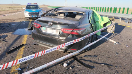Балқаштағы жан түршігерлік жол апатынан 9 адам қаза тапты