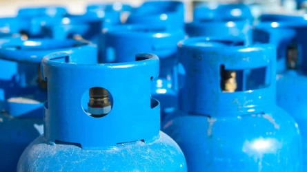 Сұйытылған мұнай газы экспортына тыйым салынбақ