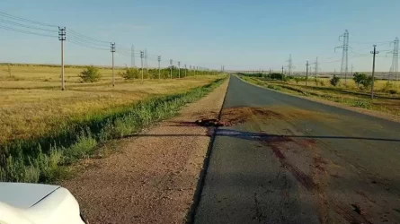 Ақтөбеде жол апатына түскен жүргізушіге көмектеспек болған ер адамды көлік қағып, мерт қылды