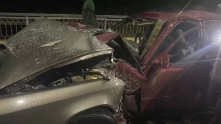 Жетісу облысында жол апатынан екі адам көз жұмды: Рульде жас бала болған