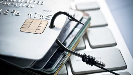 Шымкентте киберқылмыстық топ 65 млн теңге ұрлаған