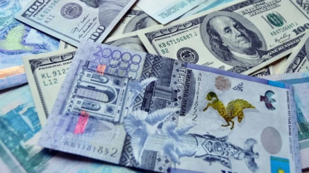 Көкшетаулық қыздың атына 2 млн теңгеден астам микрокредит алған күдікті ұсталды