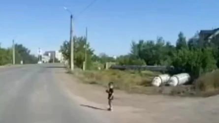 3 жасар балабақшадан қашып кеткен баланы жолда көлік қағып кете жаздады