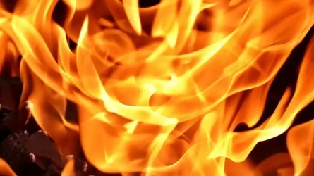 Адамды аздырады: Ауғанстанда тәліптер музыкалық аспаптарды өртеп жатыр