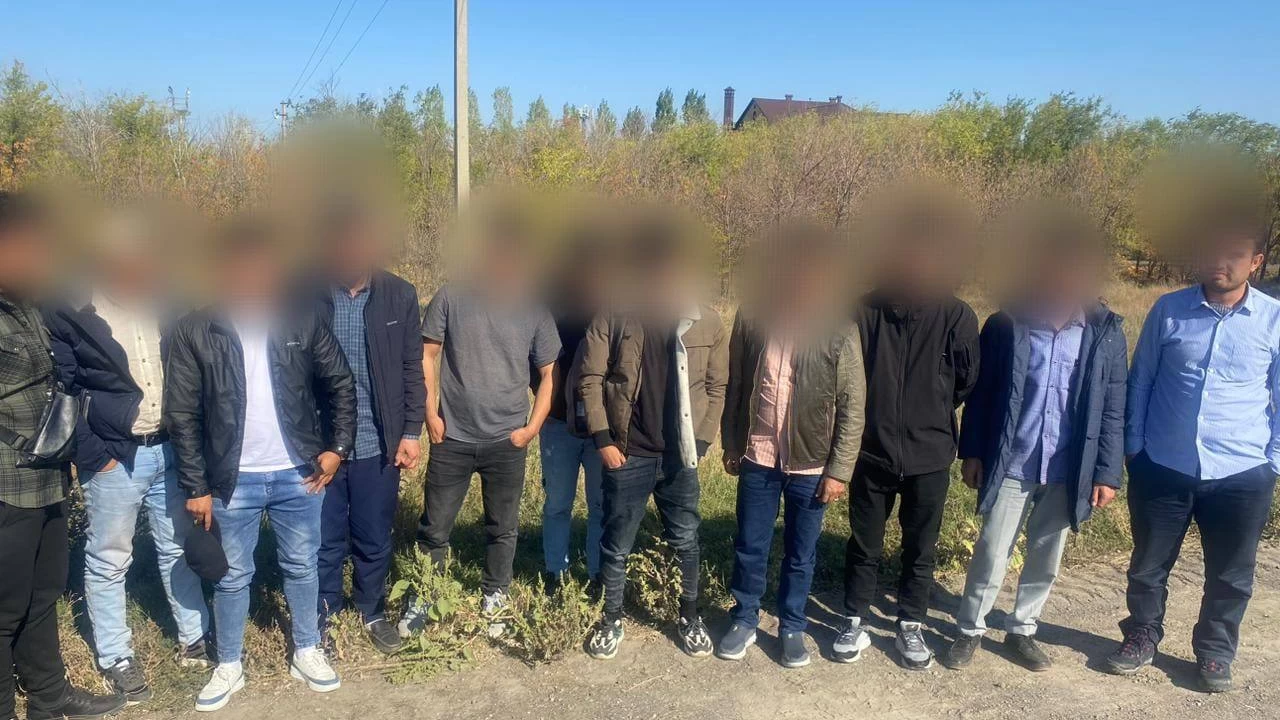 Елге заңсыз кірген Ауғанстан азаматтары ұсталды