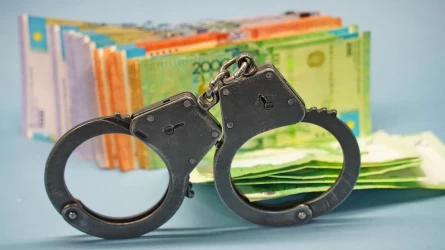Жамбылда кәсіпкерлер таңқурай сорттарына 900 млн теңге “жалған” субсидия алған