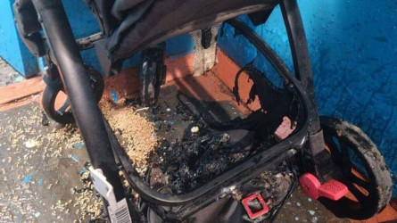 Алматыда Мәжіліс депутатының баласына зиян тигізген күдікті ұсталды