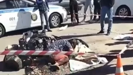 Алматыда мопед жүргізушісін жүк көлігі басып кеткен