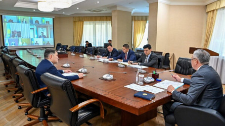Үкіметте келер жылы шегірткенің таралуының алдын алу шаралары талқыланды