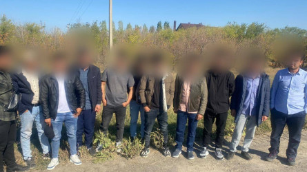 Елге заңсыз кірген Ауғанстан азаматтары ұсталды