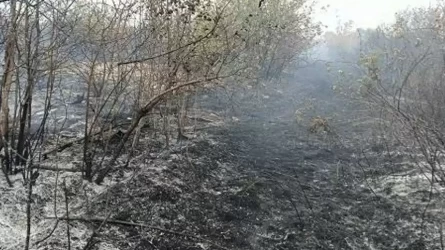 Оралда саяжай аумағында құрғақ шөп пен бұталар өртенді