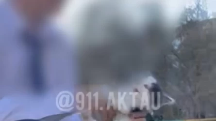 Мысықты азаптап, боқтық сөздерімен видео таратқан 12 жасар балаға полиция жаза тағайындады