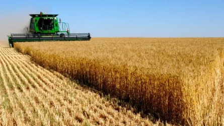 Биыл елімізде 4,7 млн га астық жиналды