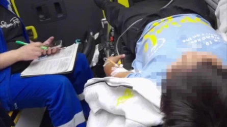 "Mektep ájethanasynda qorlyq kórgen": Almaty oblysynda tórtіnshі synyp oqýshysy ózіne qol jumsamaq boldy (vıdeo)