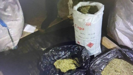 Ақтөбе облысында көпбалалы әке үйінің шатырына есірткінің үлкен партиясын сақтаған