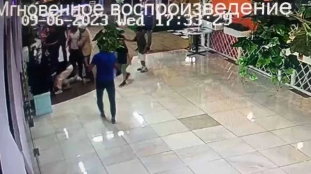 Алматыда күрестен әлем бойынша вице-чемпионның ер адамды соққыға жыққан видеосы тарады