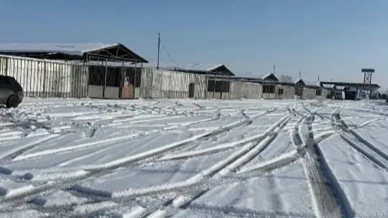 Болат Назарбаевтың үлесіндегі Қордай ауданындағы базардың жері мемлекетке қайтарылды