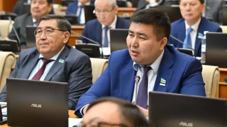 Вейпке тыйым салу арқылы балаларды қорғаймыз – депутат