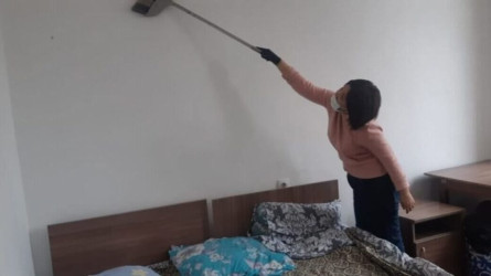 Әкімдік қаржы бөлмеген Шымкенттегі дағдарыс орталығына тышқан қаптап кеткен