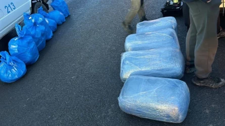 Қарағандыда 146 келі марихуана мен 94 келі гашиш тәркіленді
