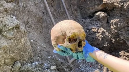 Қостанайда көшеде сүйегі табылған адамдардың кім екені белгілі болды