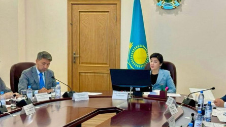 Еліміздің денсаулық сақтау саласына жасанды интеллект қолданылмақ