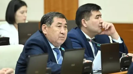 Депутат жедел жәрдем жүргізушісін соққыға жыққан күдіктіні тез арада табуды талап етті