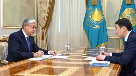 Мемлекет басшысы «ҚазМұнайГаз» ҰК» АҚ басқарма төрағасы Мағзұм Мырзағалиевті қабылдады