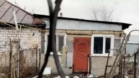 "Мәйітті немересі көрген". Кісі қолынан өлген зейнеткер мен ұлының қазасына қатысты тың ақпарат шықты