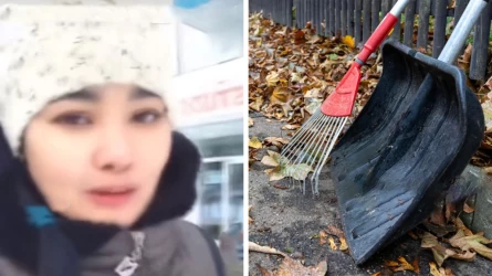 «Тазалықшы боп, 10 есе көп табамын». Қазақстандық әйел 3 баласын елге тастап, Германияға кеткен