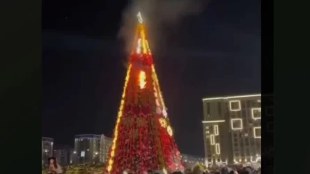 Шымкентте жаңа қосылған шырша өртеніп кете жаздады