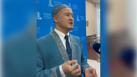 It pen mysyqqa bólіngen qarjy múgedekterge jetpeıdі – depýtattyń janaıqaıy