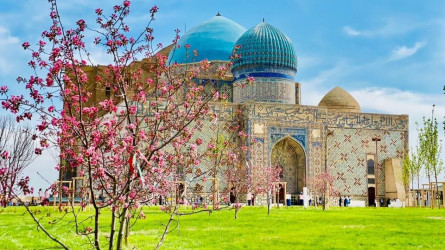 Бұлбұлы бақтарда сайраған: Түркістан қаласына ерекше мәртебе беріледі