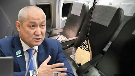 Ұшаққа домбыраны кіргізбейді, Паганинидің скрипкасын кіргізер еді - депутат