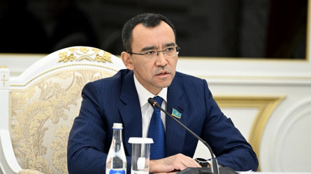 Солтүстікте халық саны азайып барады – Мәулен Әшімбаев