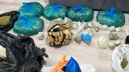 Елімізде 4 есірткі зертханасы жойылды