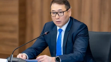 Министр Pinduoduo сайтының еліміздің сауда саласына ықпалы туралы пікір білдірді