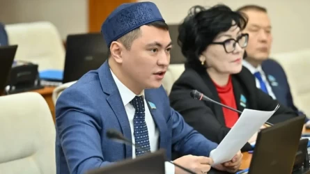 Шапанымыздан айрылып, қамшымызды ғана ұстап қалмайық - депутат
