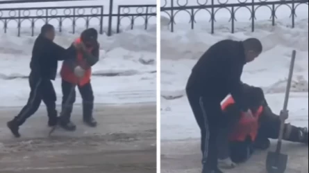 Астанада аула сыпырушыға күш көрсеткен ер адам қамауға алынды