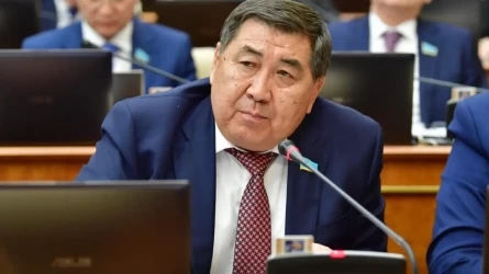 Отставкаға кеткен Үкімет қымбатшылықты ауыздықтай алмады – Ермұрат Бәпи