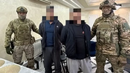 Ауғанстан азаматтары қазақстандық шенеунікке пара беріп, Ресейге өтпек болды - ҰҚК