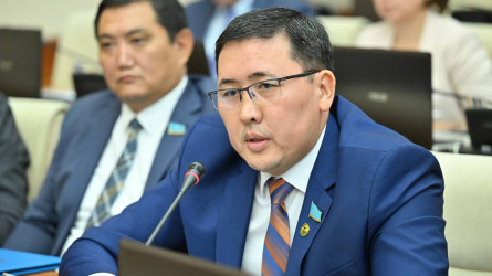 "Әйелдің тілі ұзын" деген депутат елімізде қыз алып қашу жоқ екенін айтты