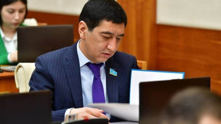 Ринат Зайытов шетелге оқуға кеткен дәрігерлердің білім іздеп емес, қыдырып жүргенін айтты