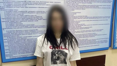 «Адамдарды үлкен сомаға алдаған»: Алаяқтық жасап, іздеуге жүрген әйел Түркияда ұсталды