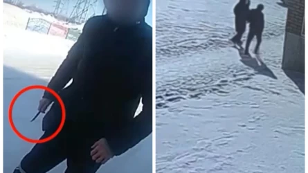Семейде ер адам 13 жасар қызды аңдып, артынша полицейді пышақтаған (видео)