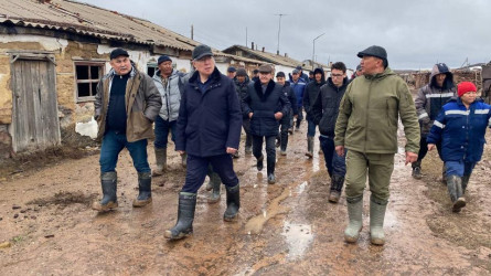 Талдысайдағы табиғи апат: барлық шығынның құны өтеледі
