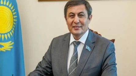 Сенатор мектеп психологтарының заңды мәртебесін көтеруді ұсынды