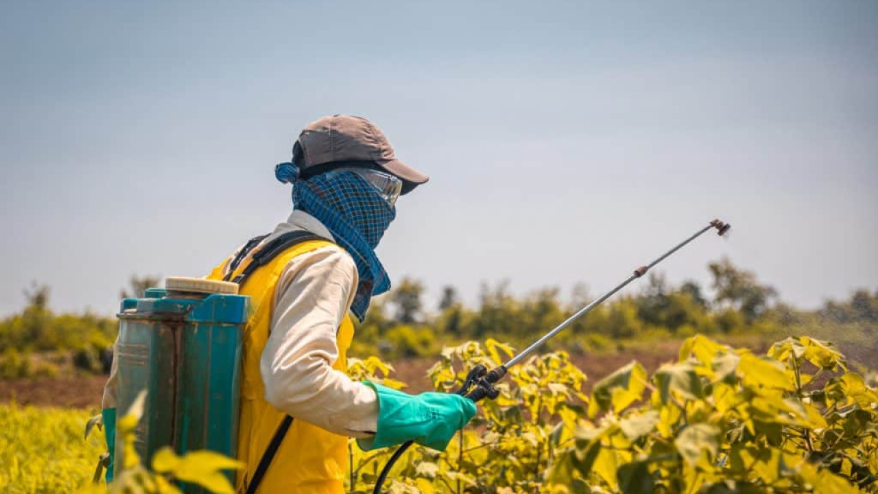 Отандық фермерлер пестицидтерді пайдалануды 70%-ға дейін азайта алады
