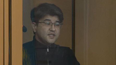 «Менің күйеуім Бишімбаевты жақтайды, ол оны қорғаған сайын мен қатты қорқамын»: желі қолданушысының оқиғасы