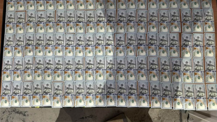 Шетелдіктен 90 мың доллар тәркіленді